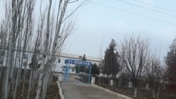 Ўқувчи жонига қасд қилди, авиаҳалокат қурбонлари кўмилди, ўғриликни фош қилган МИБ бошлиғи ишдан кетди
