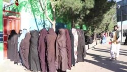 هرات: په انتخاباتو کې د ښځو بې سارې ګډون