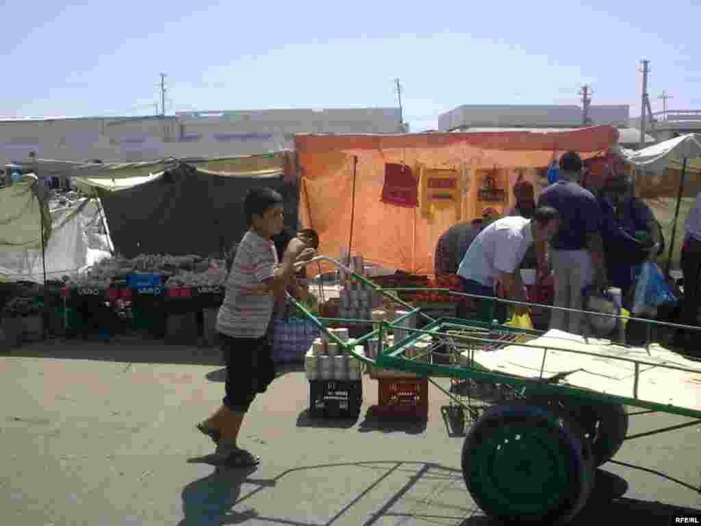 Arabakeşlik — köpleriň gazanç çeşmesi #5