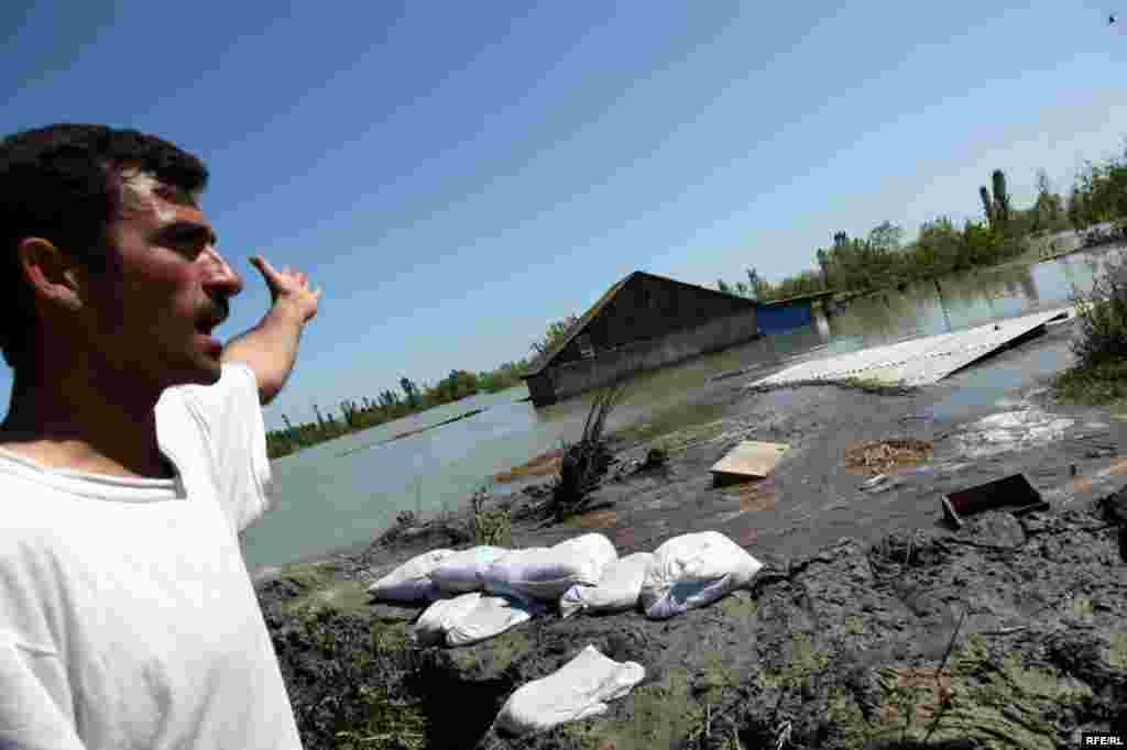 2010-cu ildən bəzi seçmələr #21