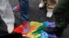 ООН и ОБСЕ призвали власти России прекратить преследования геев
