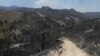 Armenia - Trees in the Khosrov Forest State Reserve burned by a wildfire, 14Aug2017.