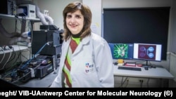 Проф. д-р Албена Йорданова 