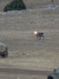 Upotreba robota pokazana je tokom vojne vežbe održane 13. septembra na poligonu "Pešter"