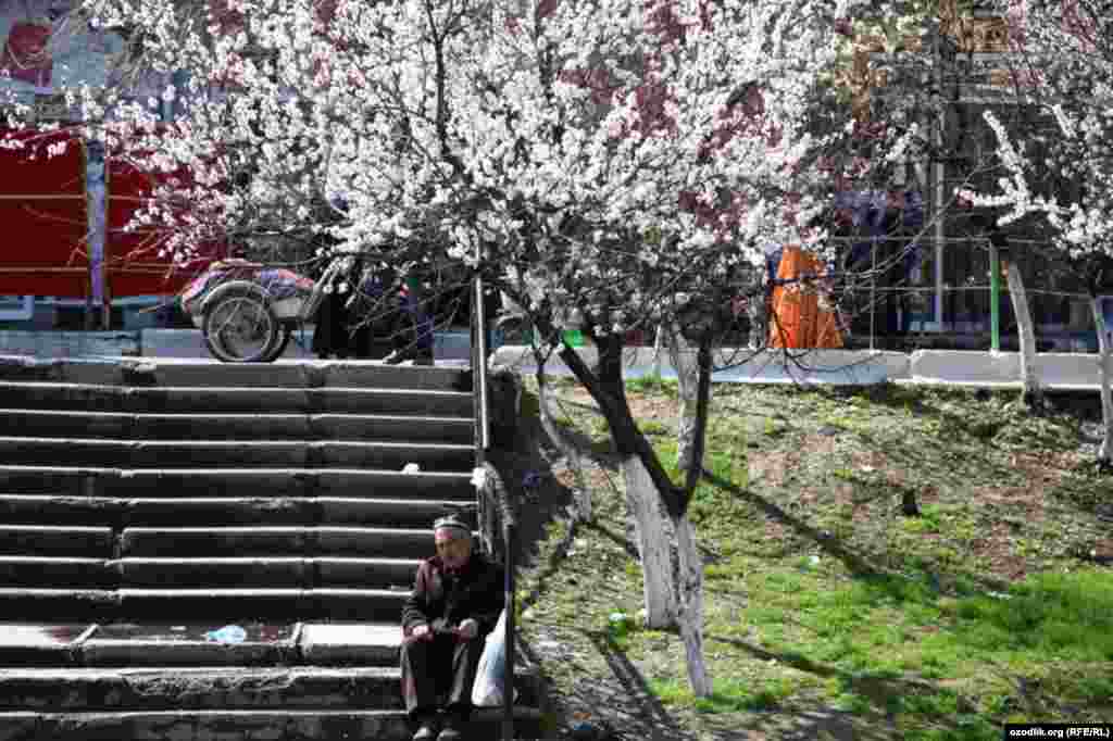 Uzbekistan - spring in Tashkent, 