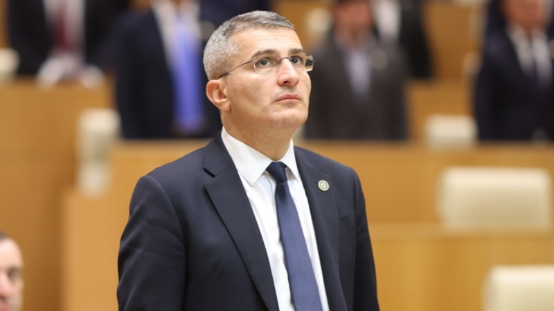 „მხოლოდ ვიზალიბერალიზაციით შანტაჟი არ ჭრის, დამატებითი ზომებია საჭირო ქართველი ხალხის წინააღმდეგ“ - მდინარაძე ევროპარლამენტის განცხადებაზე