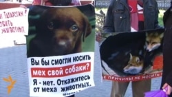 Жаһан жаңалықтары, 2013.10.21