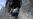 Noted Photojournalists Killed In Libya