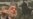 Karzai Asks Pakistan To Stop Attacks