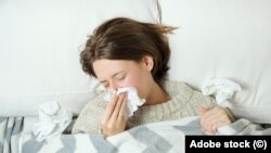 Илустрација