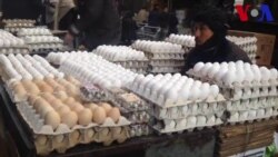 کابل کې د بهرنيو هېوادونو هگۍ خرڅېږي