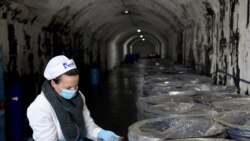 Albanija: Plodovi mora umjesto oružja