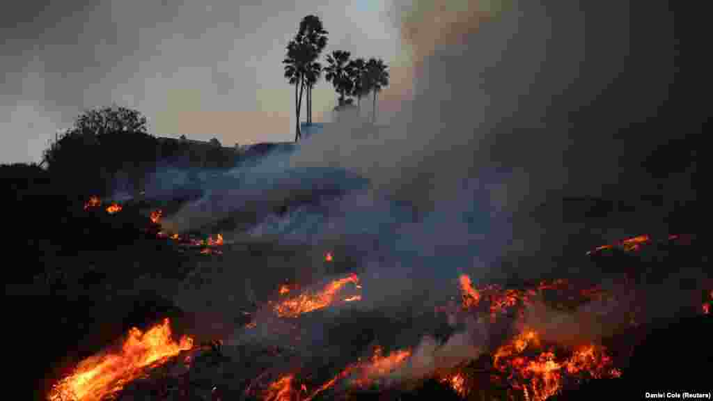 Erdőtűz a Pacific Palisades negyedben, Los Angeles nyugati részén 2025. január 7-én.&nbsp;A legutóbbi becslések szerint mintegy harmincezer embert evakuáltak. Több mint tizenháromezer épületet fenyeget a tűz, már sok ház leégett. A természeti károkat egyelőre nem tudták felmérni