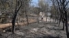 Kosovo: The consequences of the fires in the village of Kciq, Mitrovica
