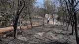 Kosovo: The consequences of the fires in the village of Kciq, Mitrovica
