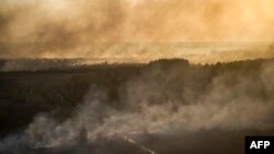 Ілюстративне фото 