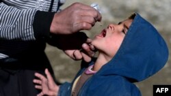 Afghanistan -- An Afghan health worker administers polio vaccine drops to a child on the last day of a vaccination campaign in Kabul, February 11, 2014