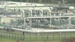 "Шўртангаз иши": тузилма мулозими президентдан ёрдам сўради