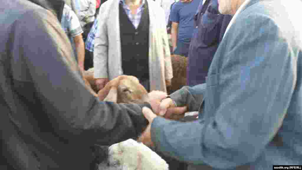 Душанбе яқинидаги Ваҳдат тумани қўй бозори