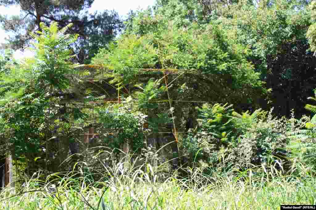 Нумуи Боғи ҳайвонот.