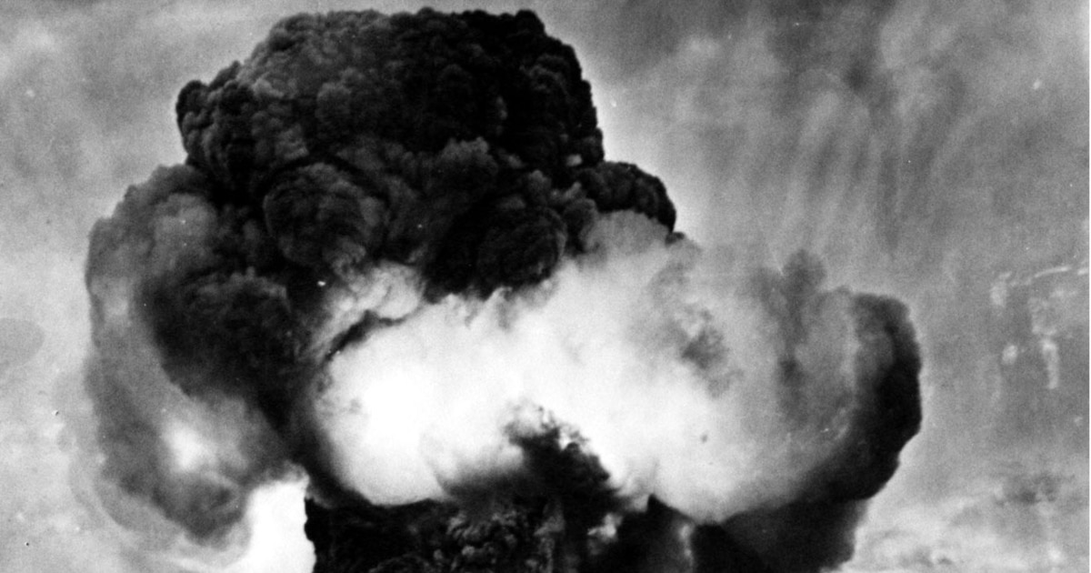 Жылтыр киска