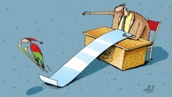 Як спілкуватися з владою для отримання позитивного результату