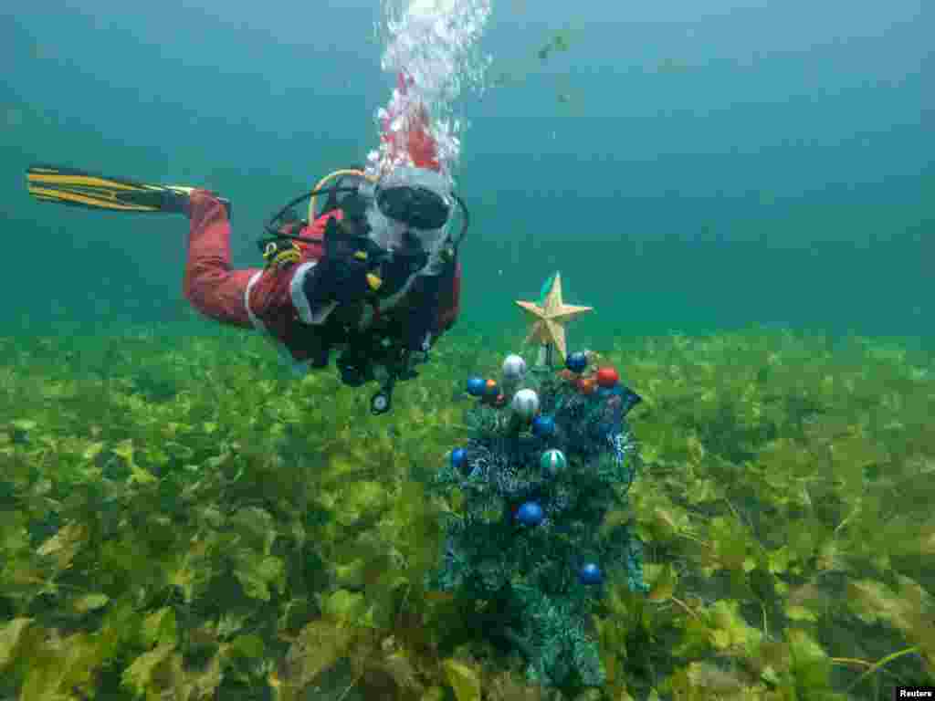 Человек в костюме Санта-Клауса позирует для фотографии рядом с украшенной рождественской елкой на озере Ярун в Загребе, Хорватия, 21 декабря 2025 года. REUTERS/Antonio Bronic