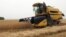 Armenia - Wheat harvest in Shirak province, 1Aug2012.