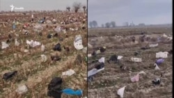 OZODNEWS: Пластик полигонига айланган Сирдарё далалари | Украинага босқин: 1450-кун