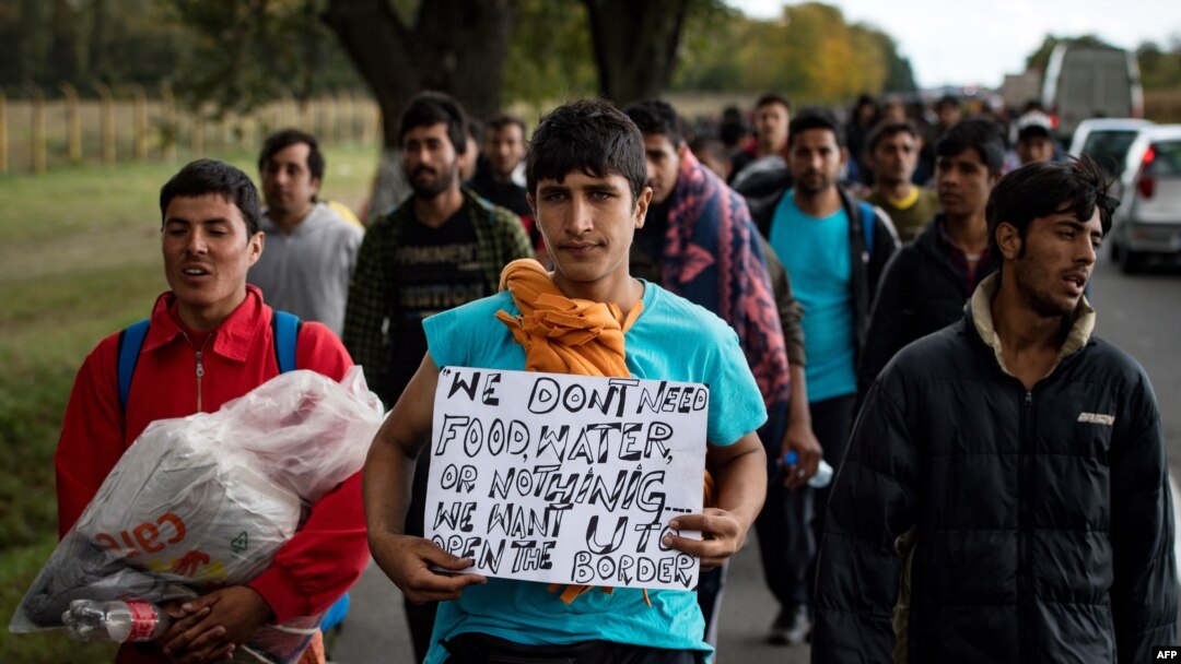 Više od 300 migranata na putu od Beograda prema Mađarskoj granici 4. oktobra 2016.
