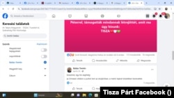 Trentin Balázs instruál a Tisza zárt Facebook-csoportjában