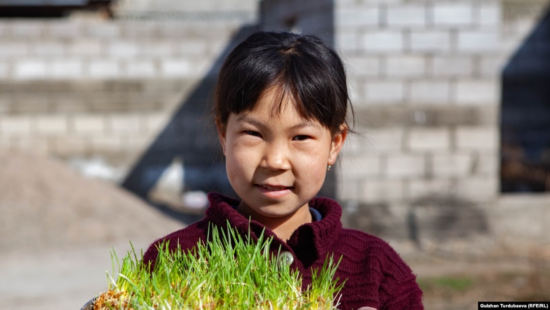 Майлы шлюхалардың супер вагинасы
