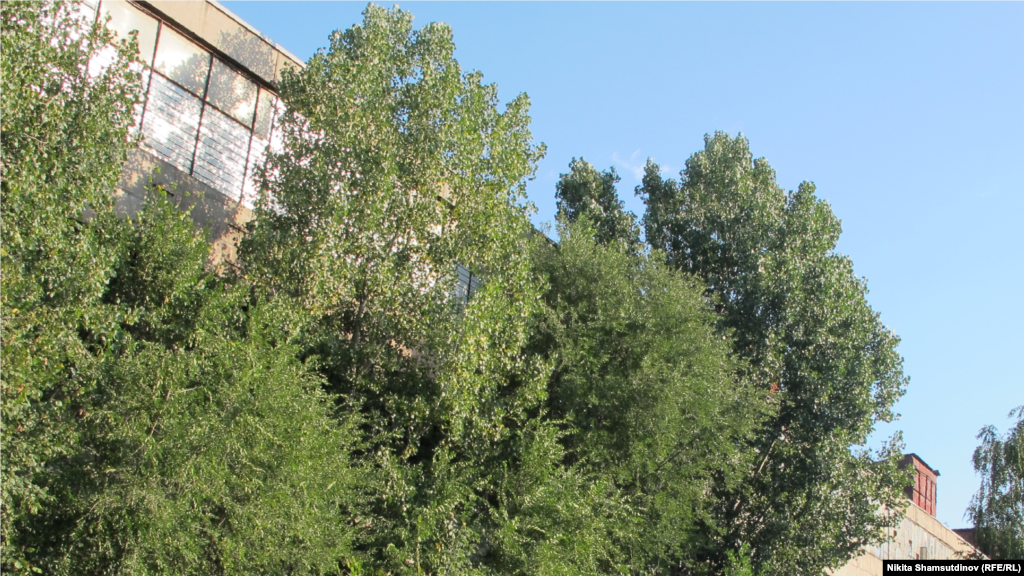 Kazakhstan - Building of the former Alma-Ata auto repair association No. 1. Almaty, July 2020.