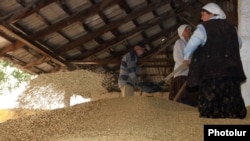 Armenia - Workers at a wheat storage facility in Shirak province, 01Aug2012.