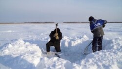 Мұз сатушылар. Сібір татарлары ғасырлар бойы сақталған дәстүрін жалғастырып келеді