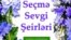 "Seçmə sevgi şeirləri" kitabının üz qabığı