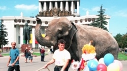 Далеко от Москвы. Россия, родина слонов