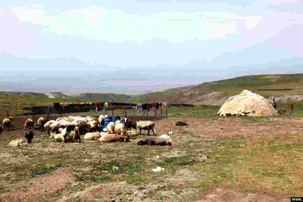 Savalanın ətəklərində köçəri Şahsevenlər #23