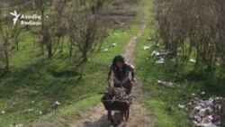 Neftçalada qazsızlıqdan zülüm çəkən qadınlar