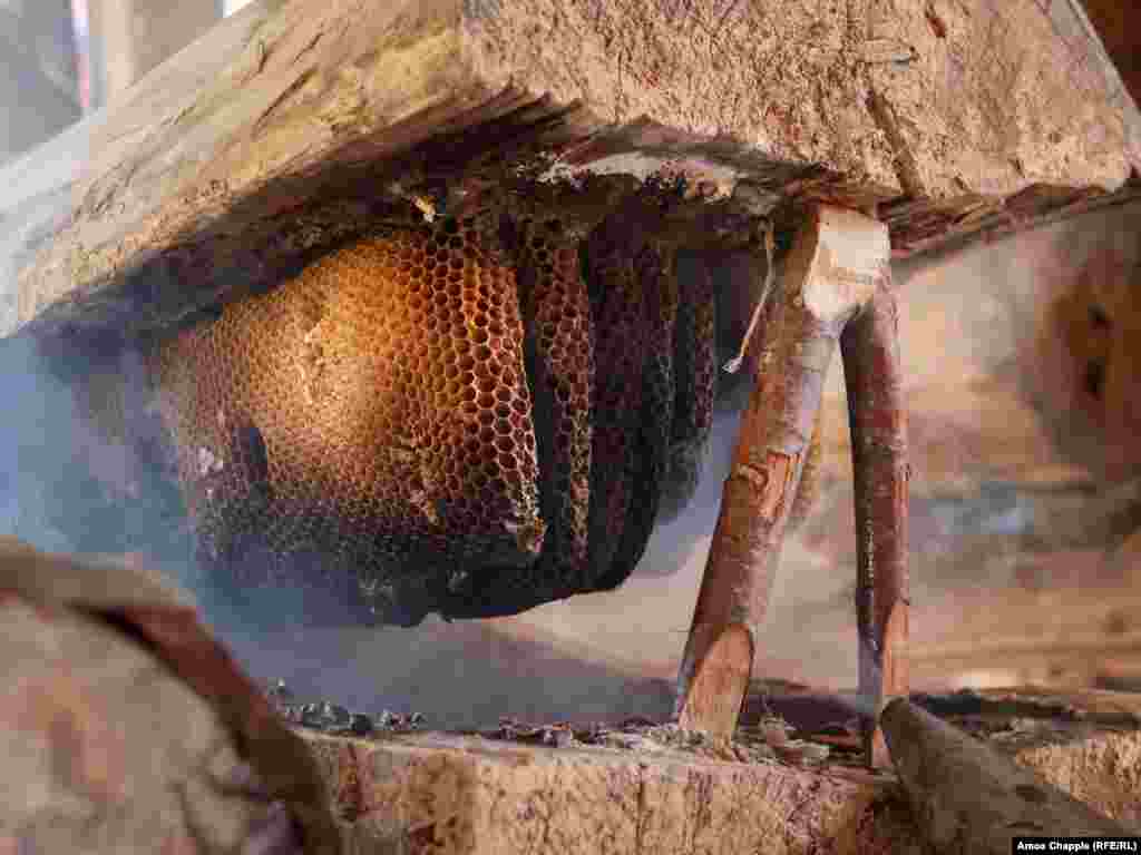 Пчелы внутри бревен джара создают собственные соты с нуля &ndash; этим ульи отличаются от более практичных строений в виде коробок, в которых многие пчеловоды используют искусственно созданные восковые соты