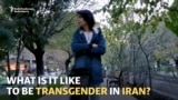 Transgender In Tehran: Arsham's Story