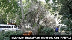 В Одесі через негоду впало щонайменш 96 дерев та великих гілок
