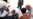 UN Urges Protection Of Afghan Civilians