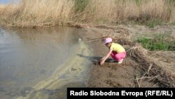 Девојче се игра на брегот на Преспанско Езеро. .