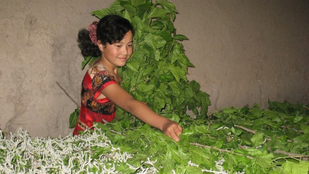 Орыс жетілген киску барлық жағынан Қорқынышты кеуде порно көру