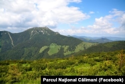 Panoramă din Parcul Naţional Căllimani.