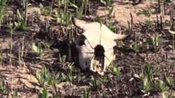 Анонс Крым.Реалии ТВ