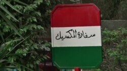 Выжившие туристы рассказали об обстреле в Египте (видео)