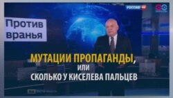 Сема хила: Киселёвн аьшпаш пIелгаш тIехь багарбо вай