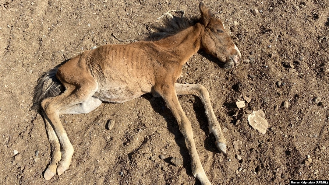 Жетілген әйелдер ретро порно қос ену